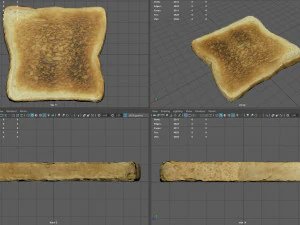 toast 3D Model