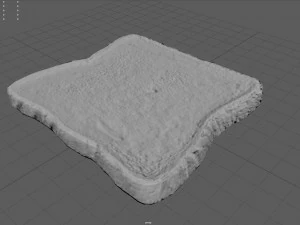 toast 3D Model