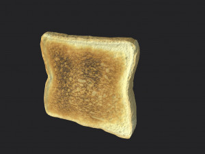 toast Model 3D