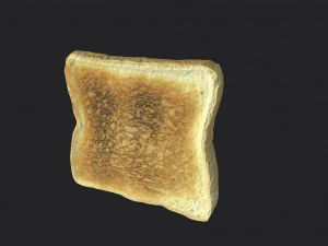 toast 3D Model