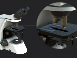 Microscopie Modello 3D