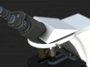 माइक्रोस्कोपी 3D मॉडल