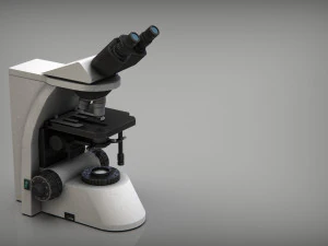 माइक्रोस्कोपी 3D मॉडल