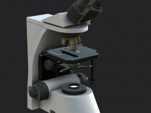 माइक्रोस्कोपी 3D मॉडल