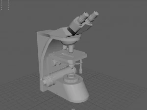 माइक्रोस्कोपी 3D मॉडल