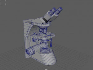 माइक्रोस्कोपी 3D मॉडल