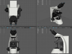 Microscopie 3D 模型