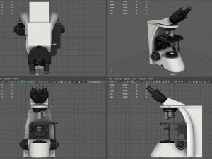 माइक्रोस्कोपी 3D मॉडल