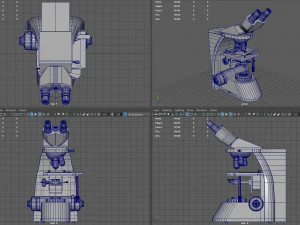 माइक्रोस्कोपी 3D मॉडल