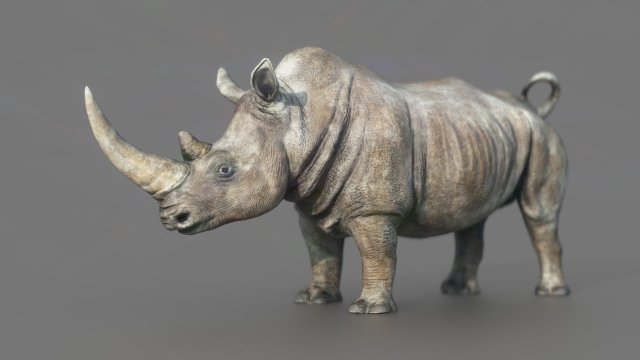 White Rhino Modelo 3D .c4d .max .obj .3ds .fbx .stl .blend 