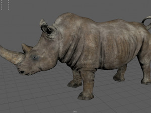 White Rhino Modelo 3D