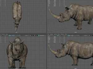 White Rhino Modelo 3D