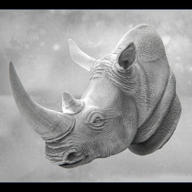 Rhino Bust Modèles 3D en vedette .c4d .max .obj .3ds .fbx .stl .blend 