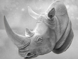 Rhino Bust 3D Print Model