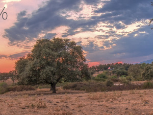 HDR 1 22 CG Texturen