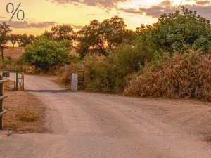 HDR 2 22 CG टेक्स्चर्स