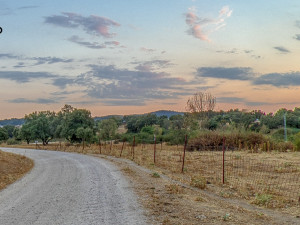 HDR 322 CG Textures