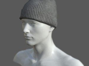 Winter hat 5 3D 模型