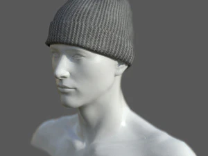 Winter hat 5 3D Model