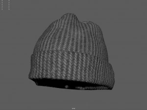 Winter hat 5 3D Model