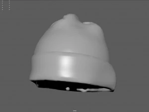 Winter hat 5 3D Model