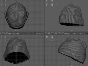 Winter hat 5 3D Model