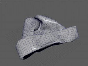 Folded winter 3D Model