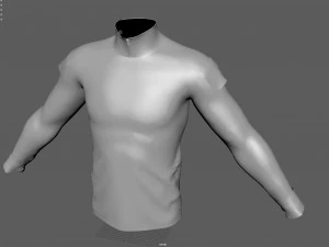 Camisa t&aacute;tica de combate de assalto militar Modelo 3D