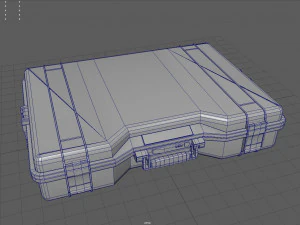 Tactical Case 3D Model