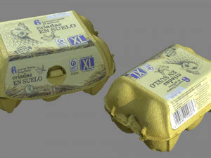 Egg Box 3D Model