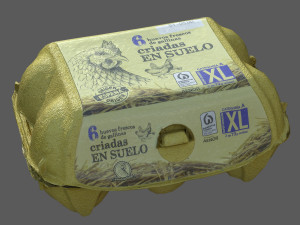 Egg Box Model 3D