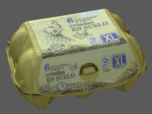 Egg Box 3D Model