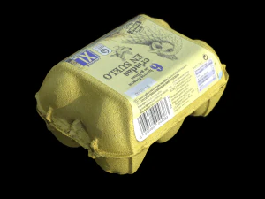 Egg Box 3D Model