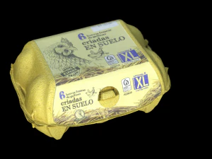 Egg Box 3D Model