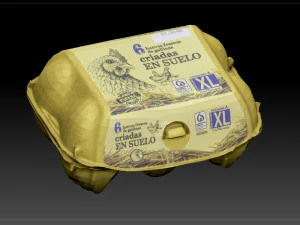 Egg Box 3D Model
