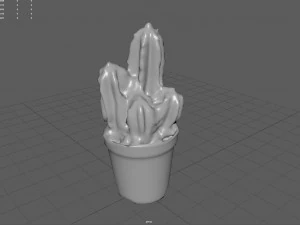 Cactus 3D Model