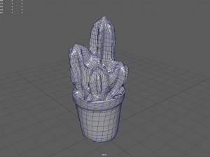 Cactus 3D 모델