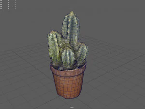 Cactus 3D Model