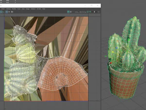 Cactus 3D Model