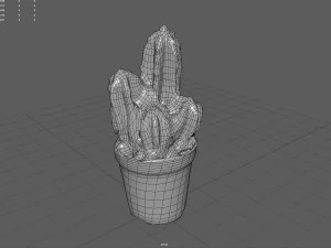 Cactus 3D Model