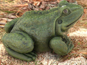 Kr&ouml;te 3D Modell