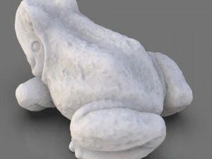 Sapo para impress&atilde;o 3D Modelo de Impressão 3D