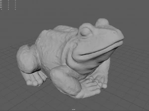 Sapo para impress&atilde;o 3D Modelo de Impressão 3D