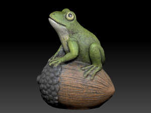 Frog On Acorn 3D Model