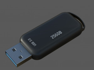 Pen Drive Modello 3D