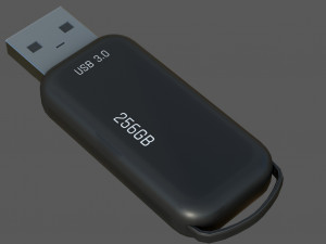 Pen Drive 3Dモデル