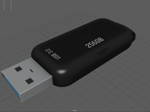 Pen Drive 3Dモデル