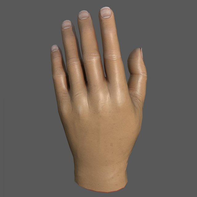 Hand 3D Модель .c4d .max .obj .3ds .fbx .stl .blend 