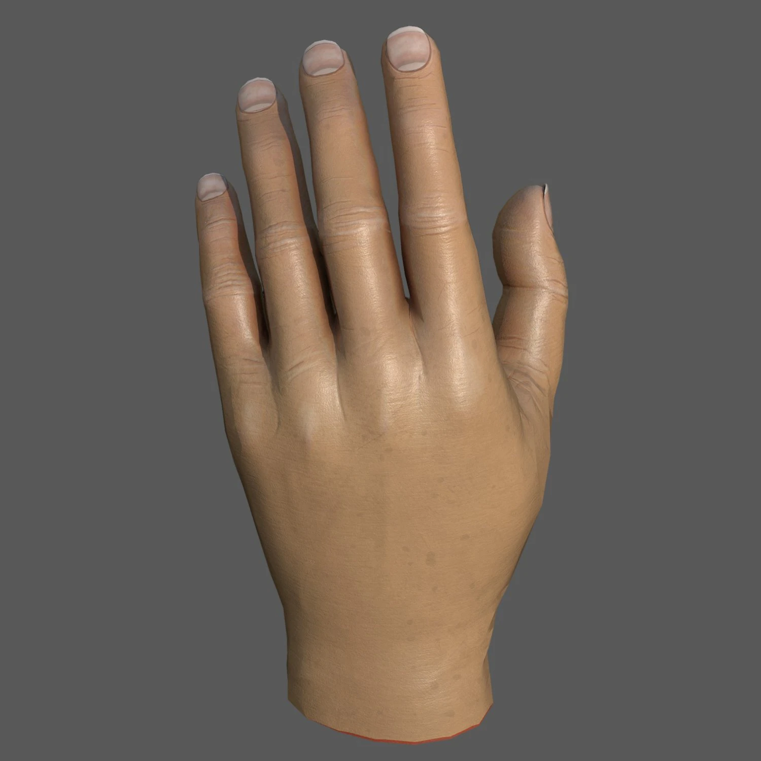 Ręka Model 3D .c4d .max .obj .3ds .fbx .stl .blend 