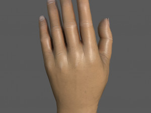 Hand 3D Model